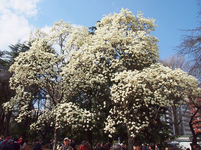 s-p1393.jpg