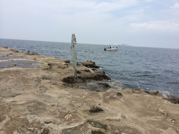 rblog-20140721012044-01.jpg
