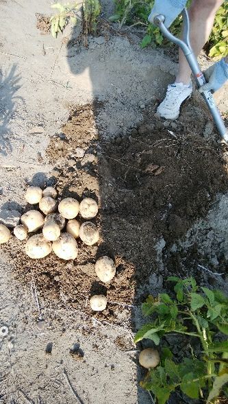rblog-20180609205747-04.jpg