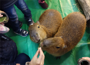 那須21.jpg