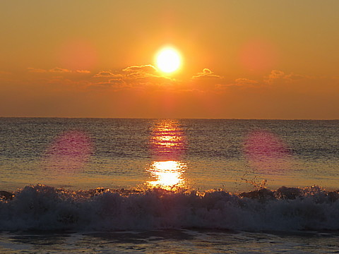 IMG_8170.jpg