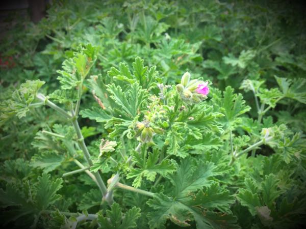rblog-20160308151930-01.jpg