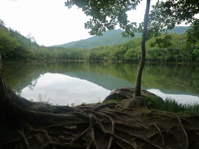 P1100015.JPG