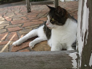 IMG_4699ss.jpg