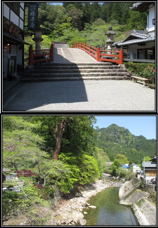 室生寺 石楠花の見頃も間もなく おやじのブログ 楽天ブログ