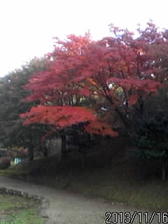 佐久山城の奥３