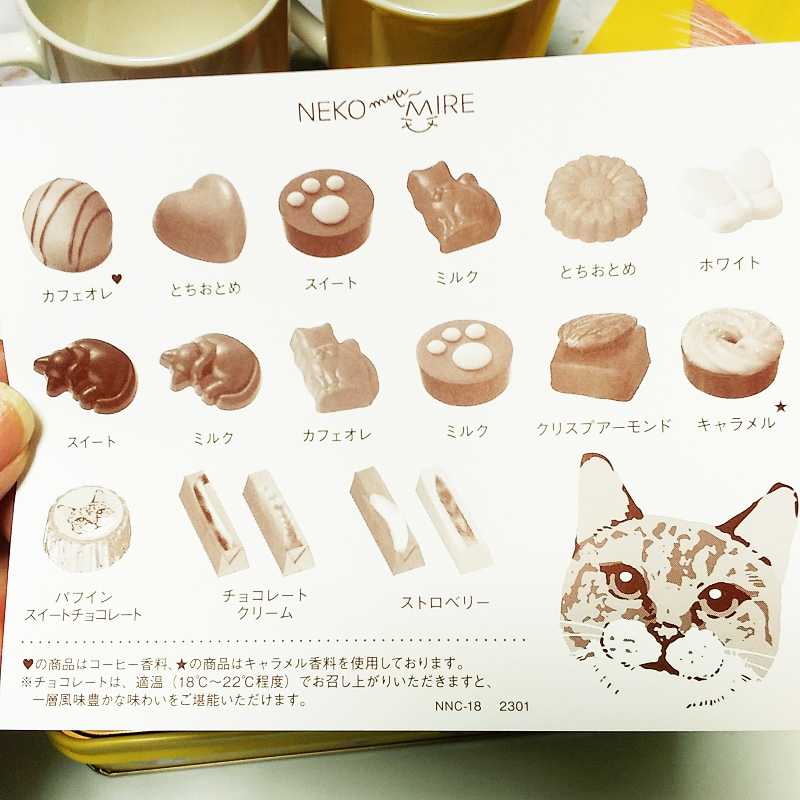 メリーチョコレート ねこみゃみれ『にゃそーてっどチョコレート 22個入』 まったりブログ 楽天ブログ