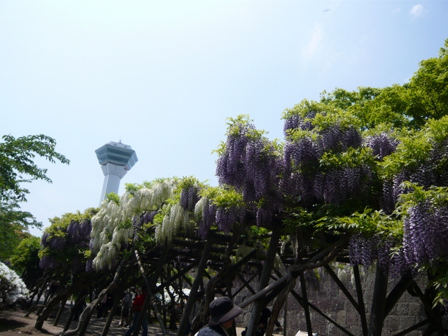 P1050065 (640x480).jpg