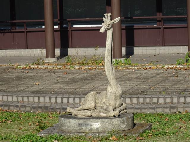 DSC07641_R.JPG