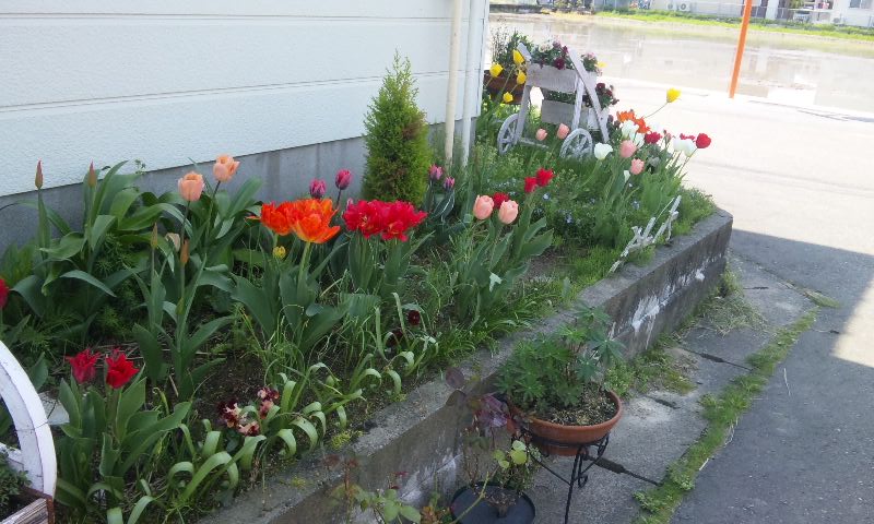 150425_1203~01.jpg