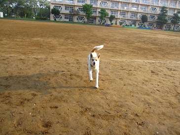 IMG_8414.JPG