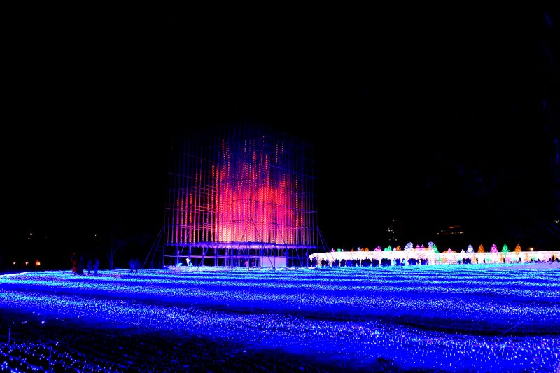 ブッグブルーとキューブ_003.jpg