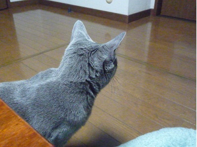 P1220644.JPG
