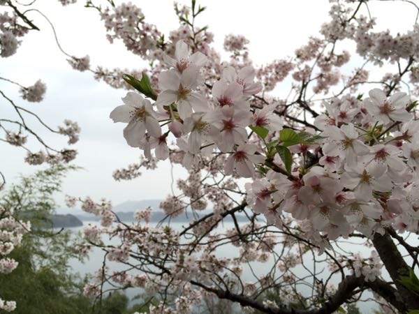 rblog-20160406174853-04.jpg