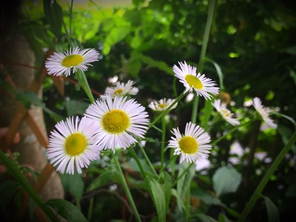 rblog-20160530192214-04.jpg