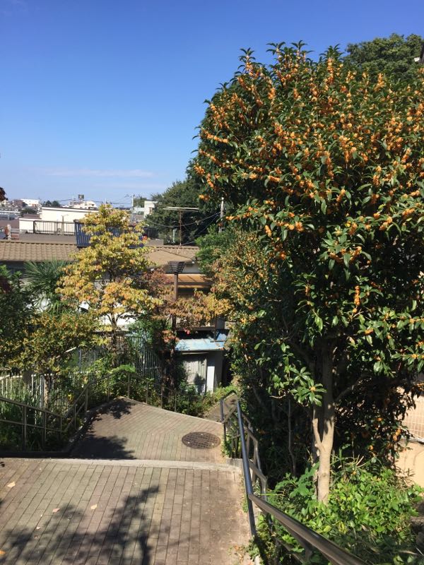 rblog-20161003001531-01.jpg