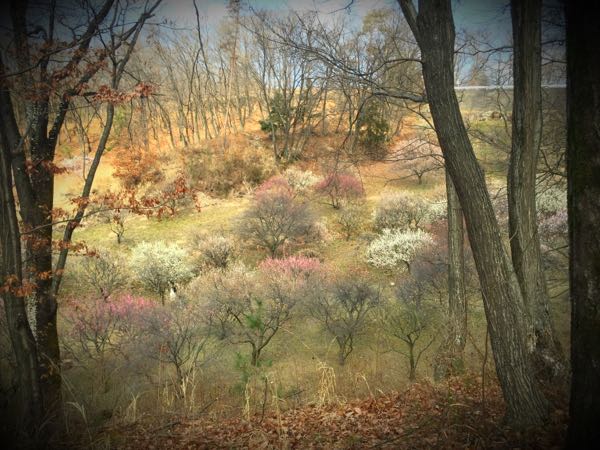 rblog-20160308142755-03.jpg
