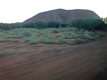 OZ881.jpg