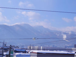 P1230153昼手稲.jpg