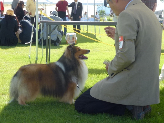 P1010828 - コピー.JPG