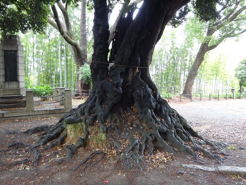 DSC09118.JPG