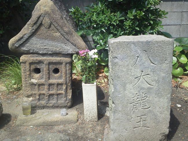 八大りゅうおう.JPG
