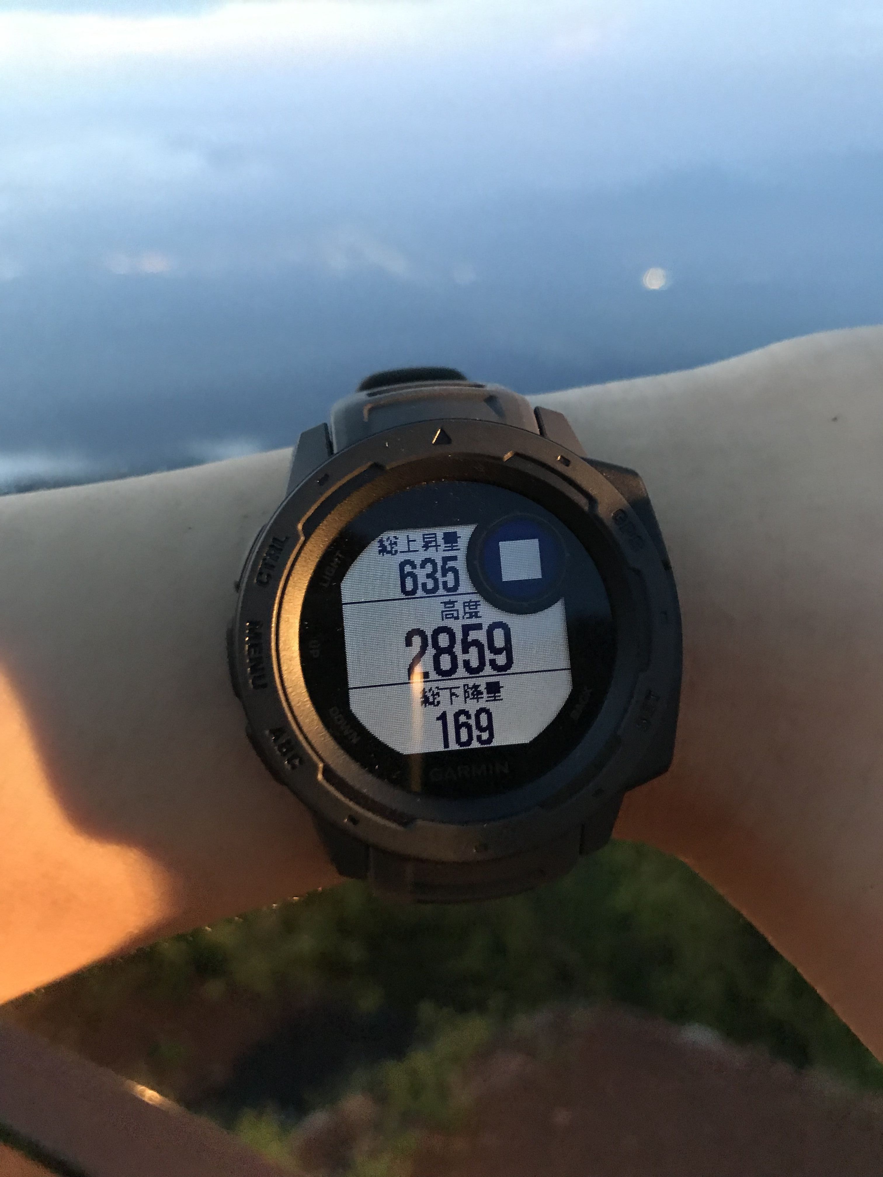 ガーミン,インスティンクト