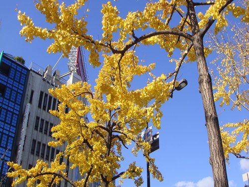 DSC02760_R.JPG