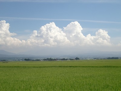 8月4日 013.jpg