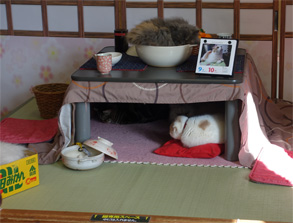 那須39.jpg