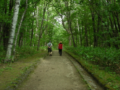 07-01moriaruki (1).JPG