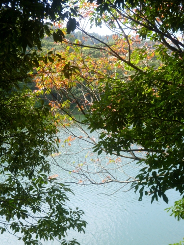035 (375x500).jpg
