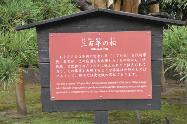 松