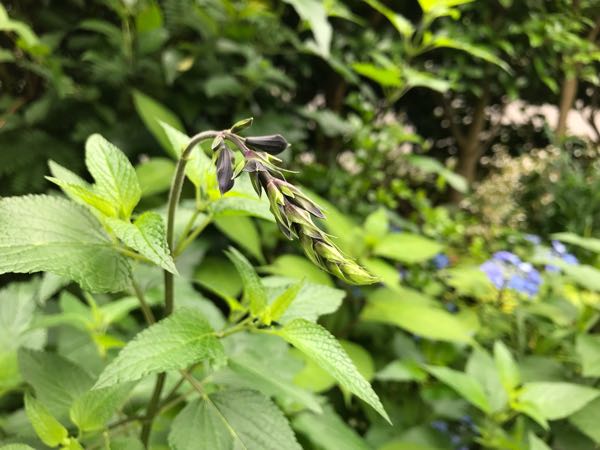 rblog-20180531150337-09.jpg