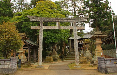 torii.jpg