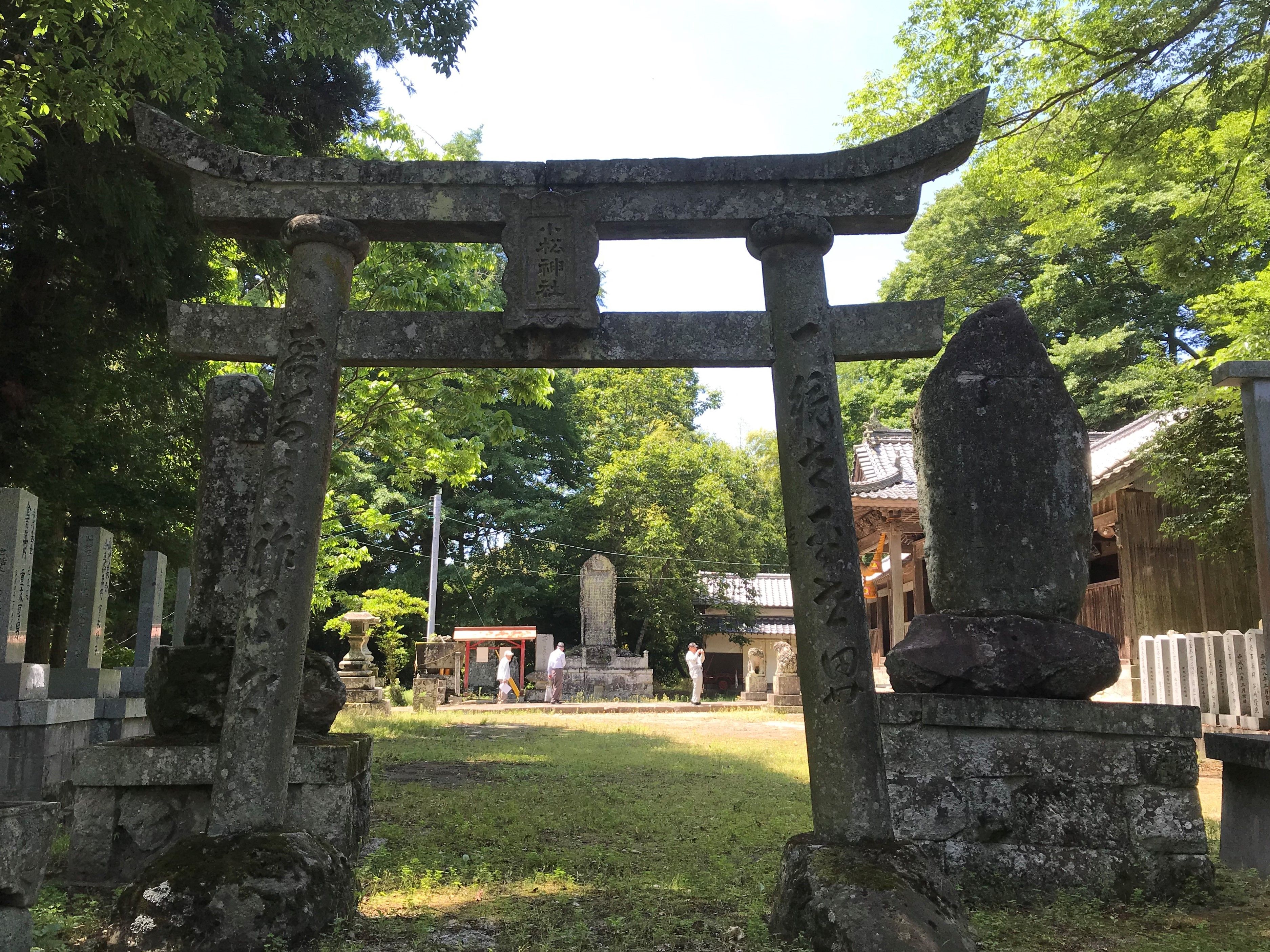 神々の鎮まり坐す森 Qミん君の日本史の森 楽天ブログ