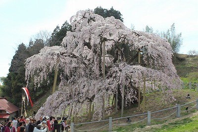 IMG_9732.jpg