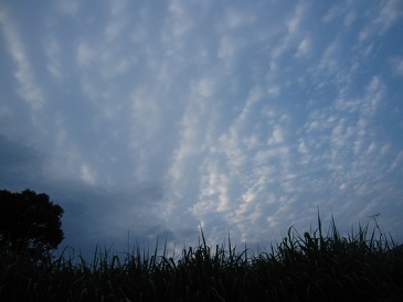 IMG_8982.JPG