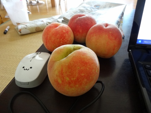 DSC05920 (500x375).jpg