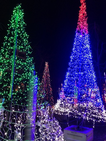 miyagase illumination05