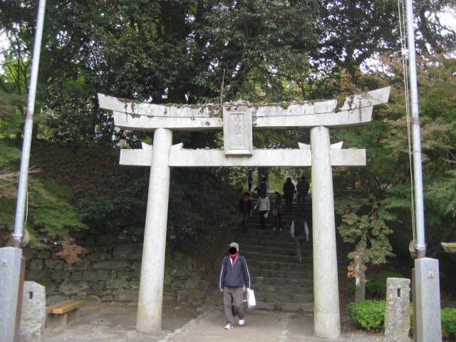 IMG_1314.JPG