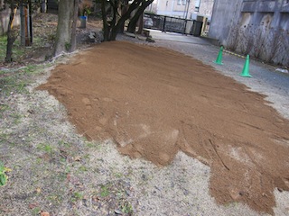 IMG_3890.JPG