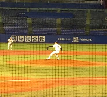20151122-030.JPG
