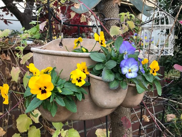 rblog-20181203160949-09.jpg