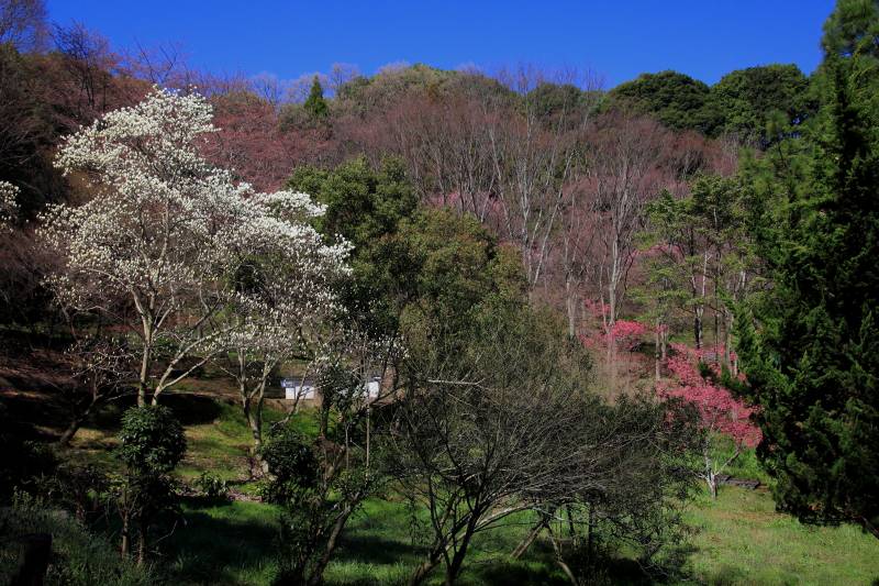 天ノ香具山_002.jpg