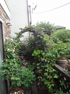 DSC05153.jpg