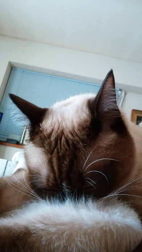 ライ