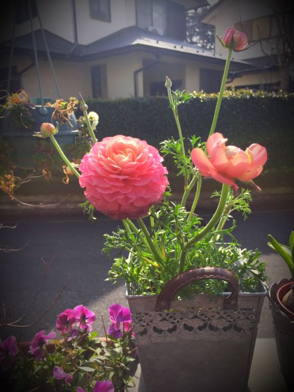 rblog-20160225160856-04.jpg