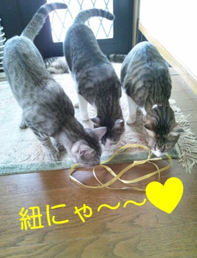 20120902_4.jpg
