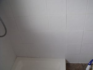 shower enclosure4